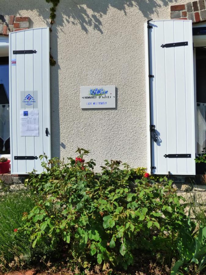 Chambres D'Hotes Les Muscaris Feins-en-Gatinais エクステリア 写真