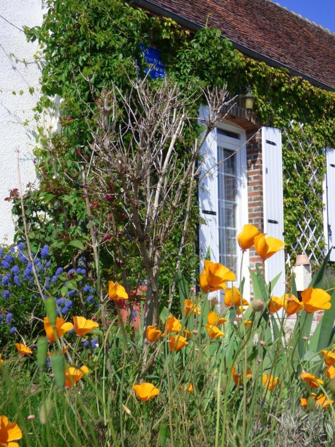 Chambres D'Hotes Les Muscaris Feins-en-Gatinais エクステリア 写真
